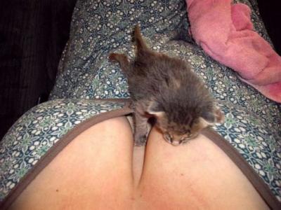 Прикрепленное изображение: post-2-12893943146838.jpg